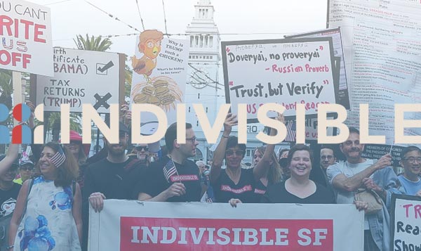 Indivisible Guide