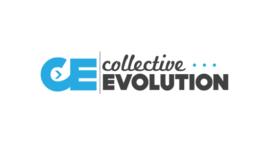 collective-evolution